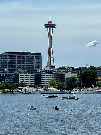 SeattleD-213