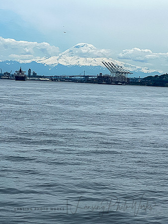 SeattleD-206