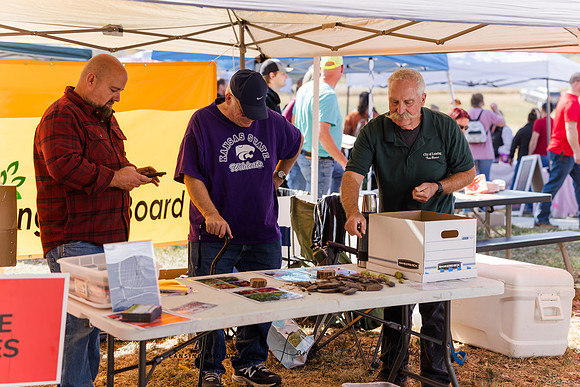 Fall Festival 2024-115