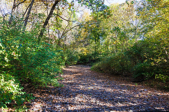 Angel Falls Trail-15