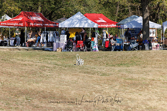 Fall Festival 2024-196