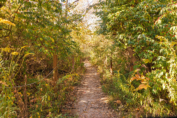 Angel Falls Trail-7
