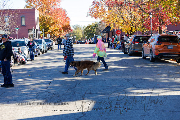 VeteransParade-197