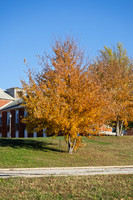 Fall 2025-6