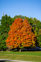 Fall 2025-9