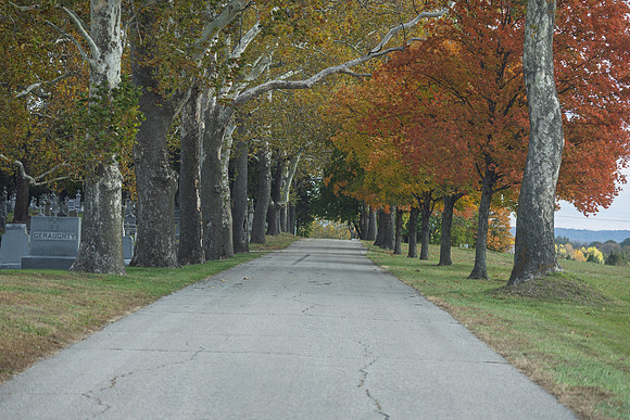 Fall 2025-16