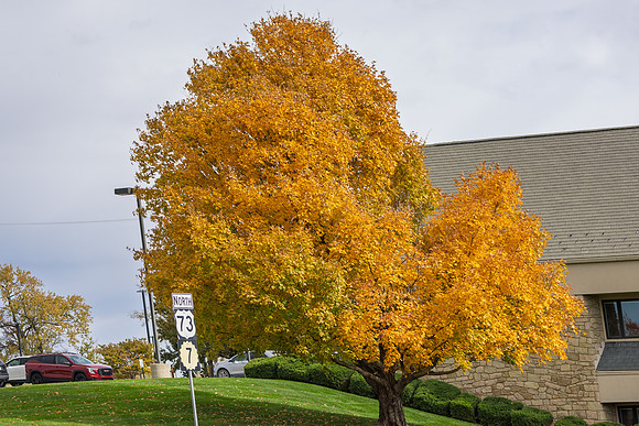 Fall 2025-26