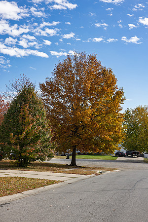 Fall 2025-65