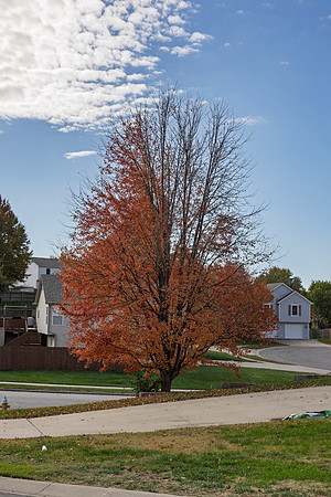 Fall 2025-80