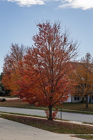 Fall 2025-82
