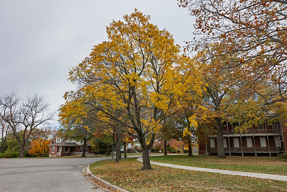 Fall 2025-113