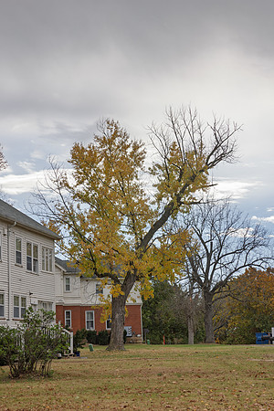 Fall 2025-116