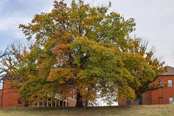 Fall 2025-120