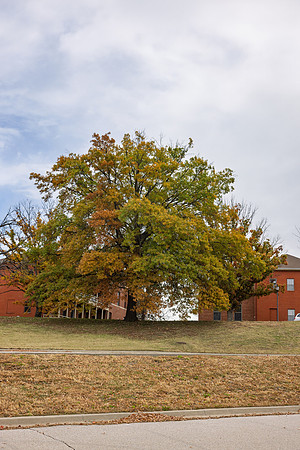 Fall 2025-121