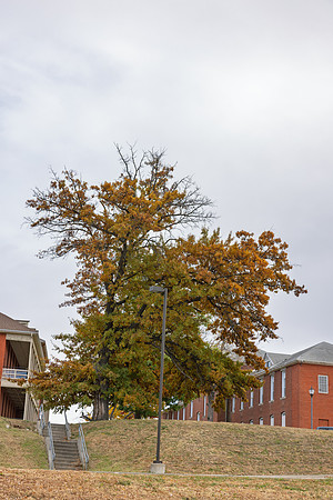 Fall 2025-123