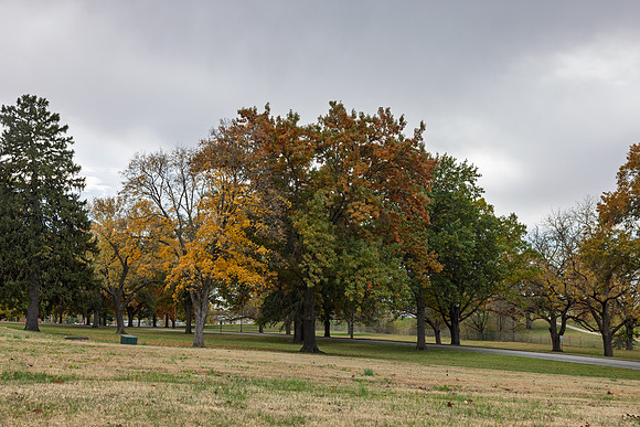 Fall 2025-125