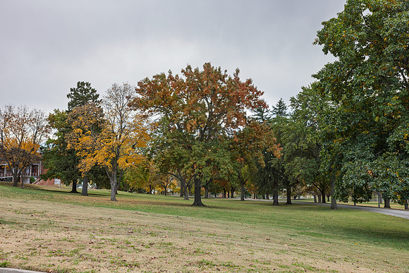 Fall 2025-128