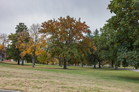Fall 2025-130