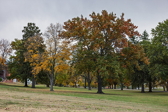 Fall 2025-132