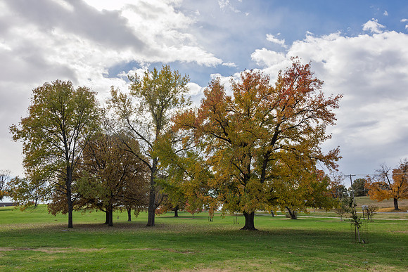 Fall 2025-137