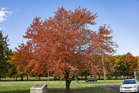 Fall 2025-139
