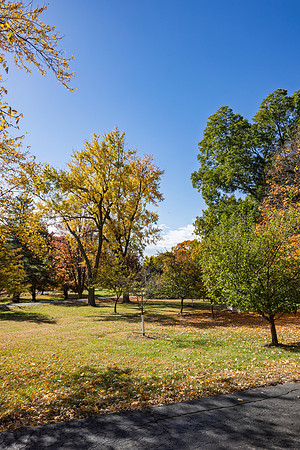 Fall 2025-152