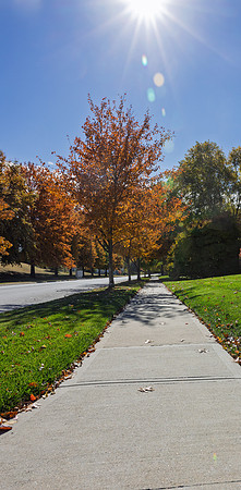 Fall 2025-157