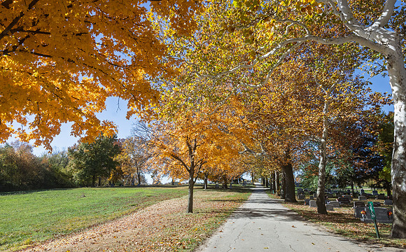 Fall 2025-167