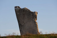 Wild Horese-6