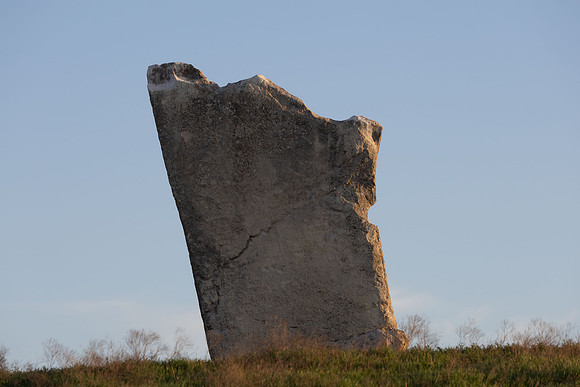 Wild Horese-6