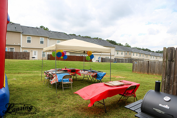 LPW_0295-295