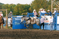 Tonganoxie County Fair-14