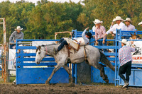 Tonganoxie County Fair-15