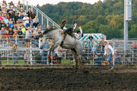 Tonganoxie County Fair-19