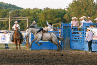 Tonganoxie County Fair-17