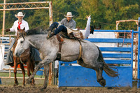 Tonganoxie County Fair-18