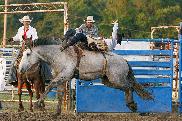 Tonganoxie County Fair-18