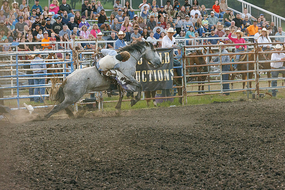 Tonganoxie County Fair-26