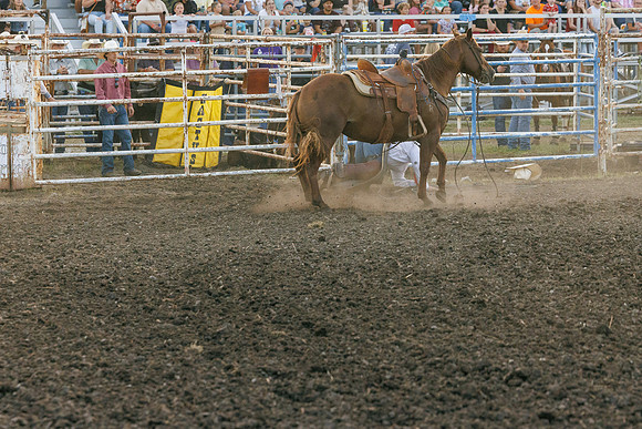 Tonganoxie County Fair-28