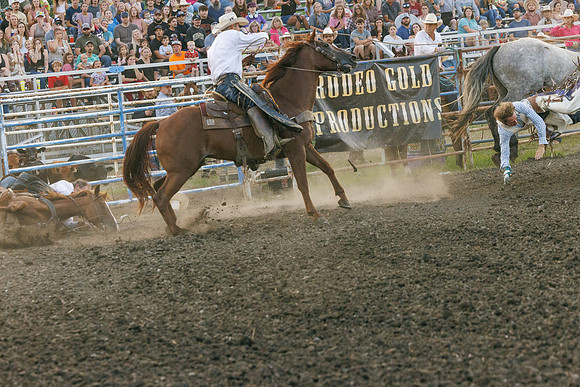 Tonganoxie County Fair-27