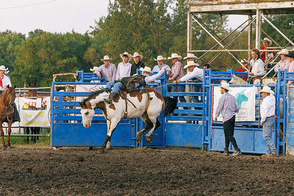 Tonganoxie County Fair-30