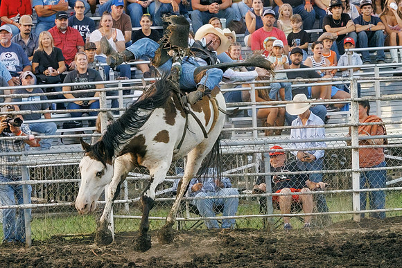 Tonganoxie County Fair-33
