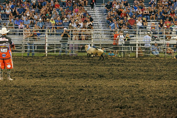 Tonganoxie County Fair-139