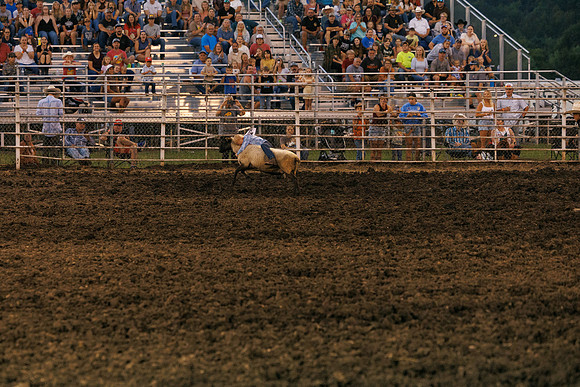 Tonganoxie County Fair-138