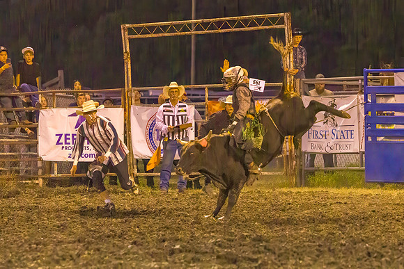 Tonganoxie County Fair-222