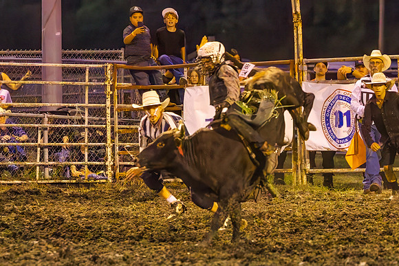 Tonganoxie County Fair-224