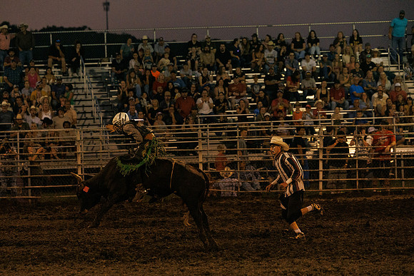 Tonganoxie County Fair-226