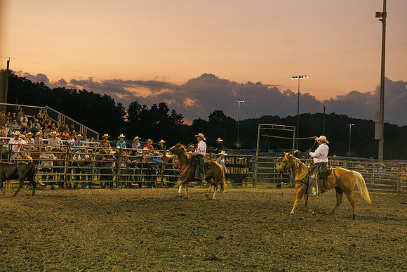 Tonganoxie County Fair-235