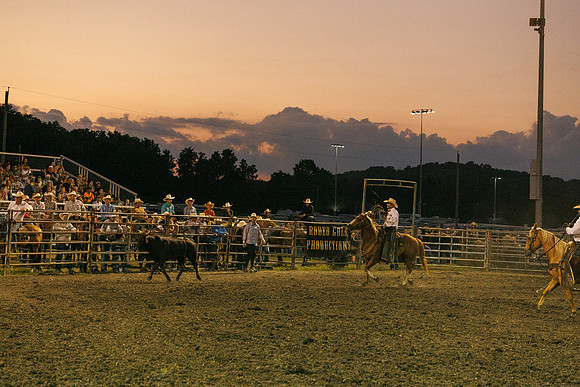 Tonganoxie County Fair-234