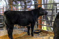 Wyandotte County Fairgrounds -6